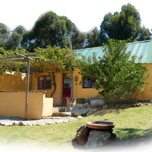 The cottage in all her newfound glory.